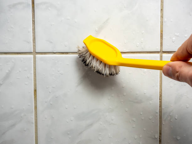 Best Fast Mold Removal  in Candor, NC