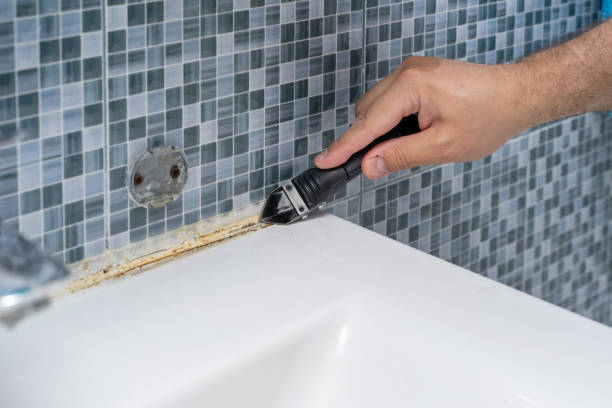 Best Mold Removal Process  in Candor, NC