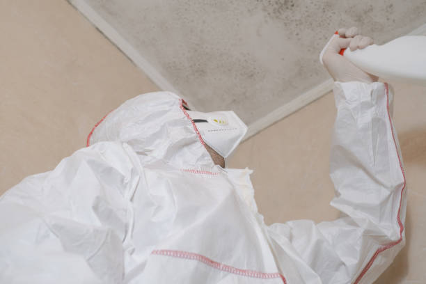 Best Crawl Space Mold Removal  in Candor, NC